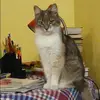 Отзыв от Ирина Григорьева